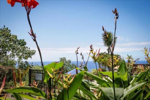 Kona Westwind 1 New! Quiet Ocean-view 1st floor | Patio | Pool