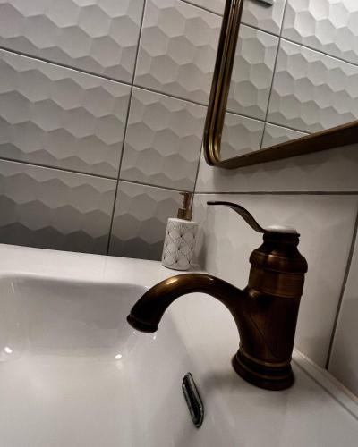 Epernay, appartement champagne Art et Déco, Épernay (zdjęcie 8)