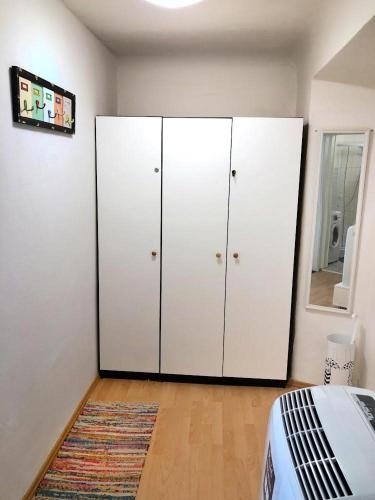 1BR Apartment on the Most Beautiful Street in Ljubljana Center