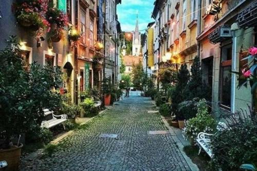 1BR Apartment on the Most Beautiful Street in Ljubljana Center