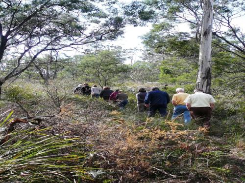 Wind Song Bed & Breakfast