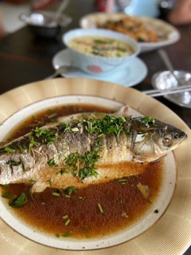 Restaurant, 行者之家SUNFLOWER in Lumbini