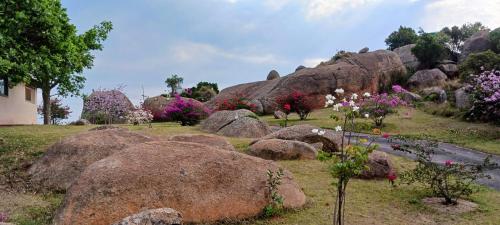 Mdzimba Mountain Lodge