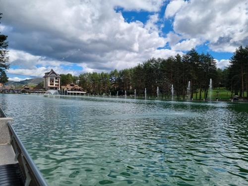 Zlatibor Hills PRESIDENT - image 5