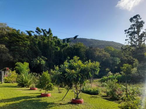 Skats, Casa de campo, sitio na natureza in Eldorado Do Sul