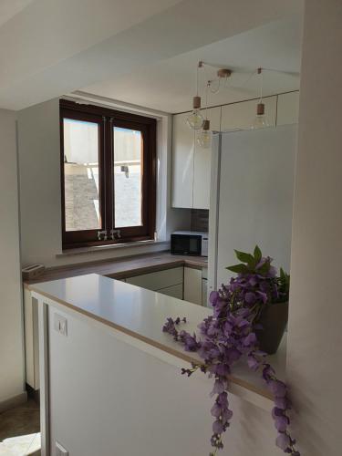 Dancing Apartment, Castelluzzo (foto 10)