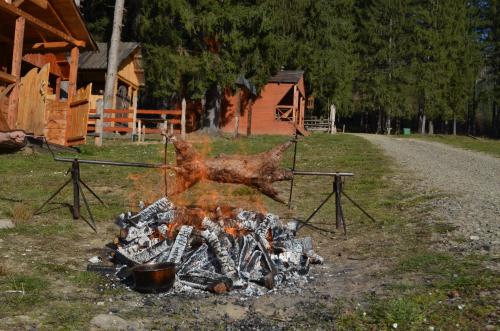 Sadyba Lisova Kvitka