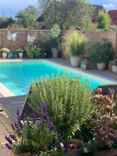 Balatonblue Balatonblue