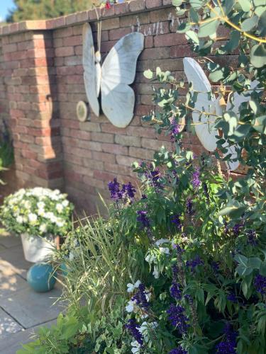 Balatonblue Balatonblue