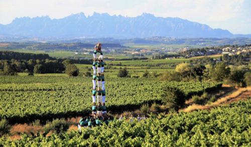 Tina de Vila, en la capital del vino