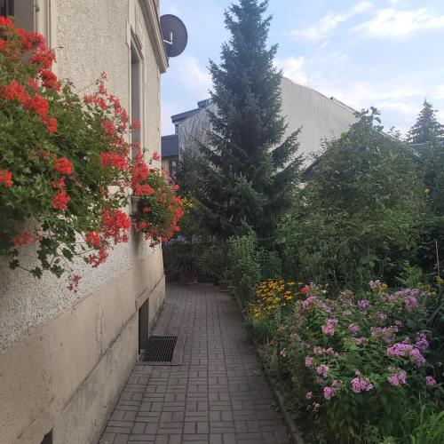 Ferienwohnung am Lockwitzbach, Drážďany (fotografie 8)