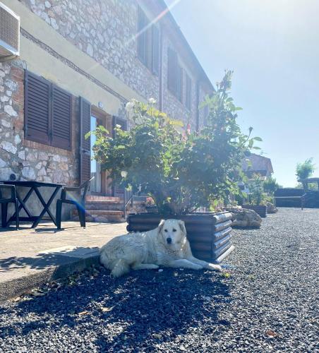 CASA VACANZE ARCOBALENO