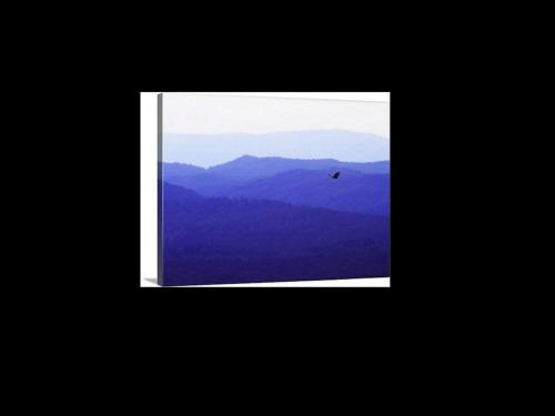 Douglas Inn & Suites, Blue Ridge, GA - 스포츠&체험활동