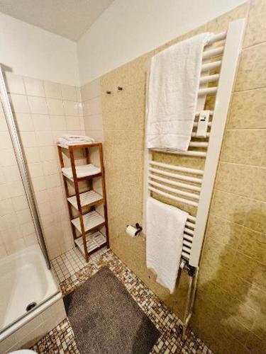 One-Bedroom Apartment image 9