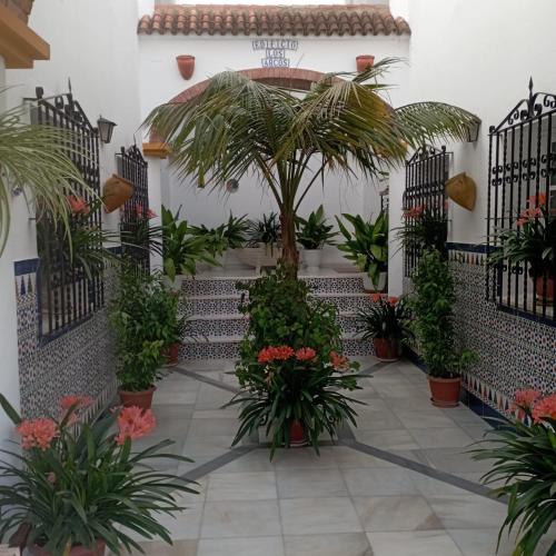 Ático Los Arcos Ático Los Arcos