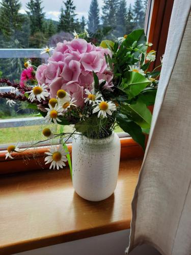 Velký apartmán Cihlarka