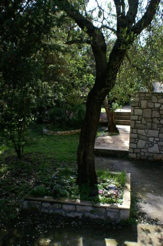 Apartments by the sea Zrnovska Banja Korcula - 3154 - image 8