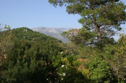 Apartments by the sea Zrnovska Banja Korcula - 3154 - image 3