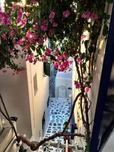 Lefteris - image 4
