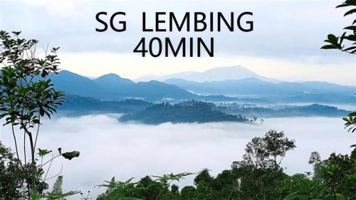 Mujito 8PAX NearTC, DinosaurLand, PoolTable, PS4 Mujito 8PAX NearTC, DinosaurLand, PoolTable, PS4