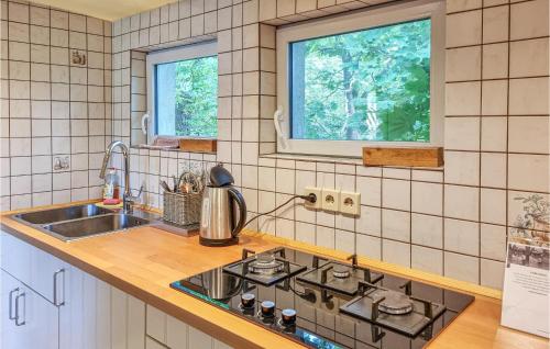 Kitchen, Stunning Home In Tharandt With Wifi And 1 Bedrooms in Tharandt