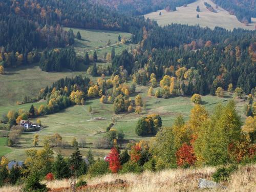 C3 Ferienwohnung im Schwarzwald 30m FerienwohnungApp für max 2 Personen