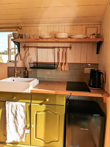 virtuve, Stunning Shepherd's Hut Retreat North Devon in Īstputforda