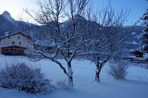 Marhof Pustertal