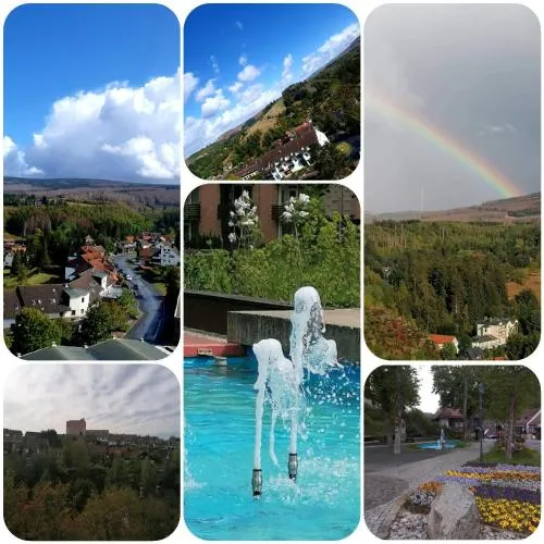 CrisAnd 3 Panoramic in Altenau, Deutschland