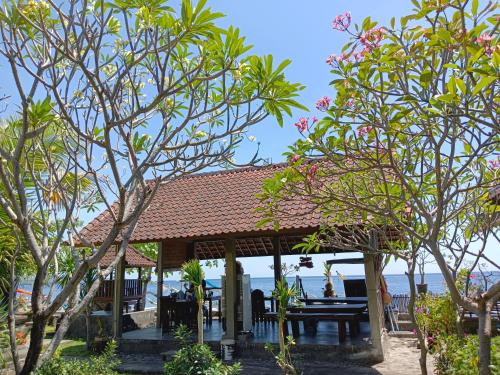 beach side Amed Delem family Bali