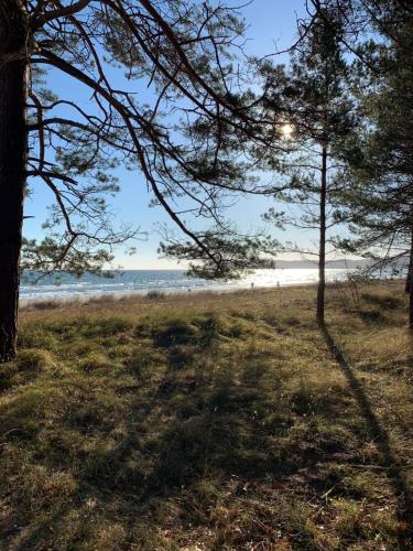 Surrounding environment, Dune 11 in Ostseebad Binz