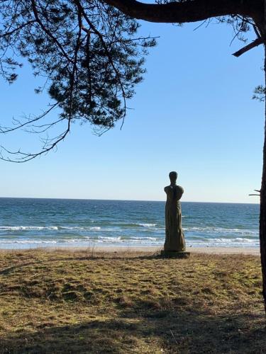 Surrounding environment, Dune 11 in Ostseebad Binz