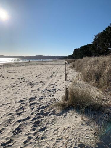 Beach, Dune 11 in Ostseebad Binz