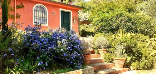 Villa Simo, Portoferraio