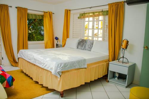 E 20 Mystic Ridge ocho Rios