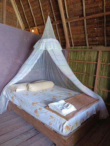 Warahnus dive homestay, Raja Ampat