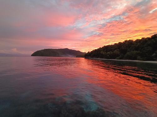 Afficher, Warahnus dive homestay in Raja Ampat
