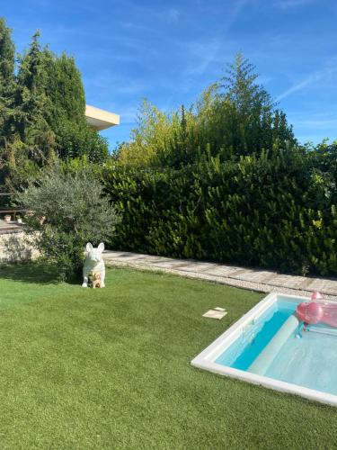 Adorable chambre vue sur piscine