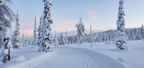 Ylläs Terhakka - Uusi huvila kuudelle