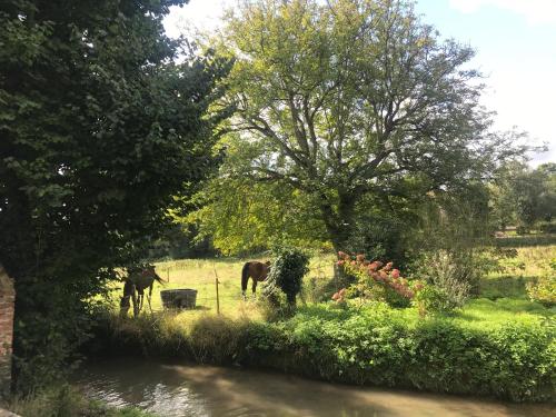 Maison au bord de riviere , proche de la mer- spa semi rigide plein air en option