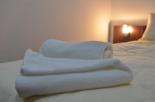 Garni Hotel Lion - image 5