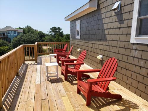 Wild Sea Horse in 科羅拉