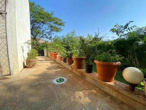 Aaryashish, Igatpuri (fotografie 7)