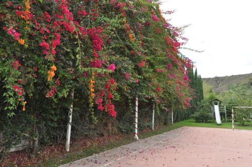 Lujosa Quinta Vacacional Ibarra