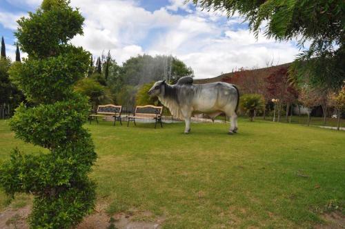 Lujosa Quinta Vacacional Ibarra