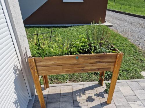 Kuća za odmor GRAŠEVINA (Kuca za odmor GRASEVINA) in 庫特耶沃