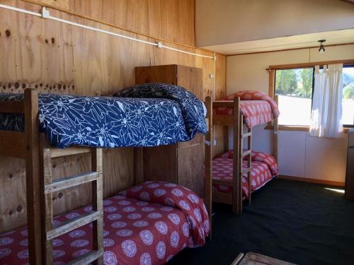 Bed in 4-Bed Female Dormitory Room