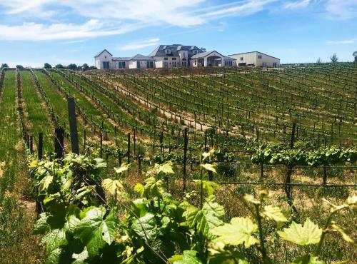 Domaine Chardonnay in Temecula, USA