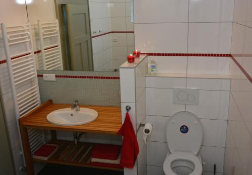 Vila Krocinka - image 11