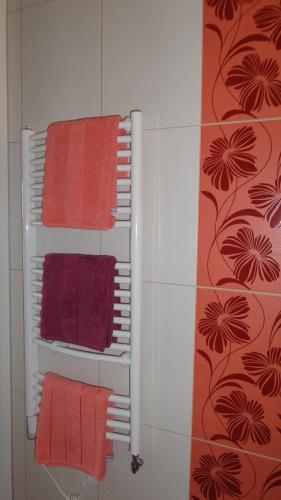 Apartmani Šišava - image 5